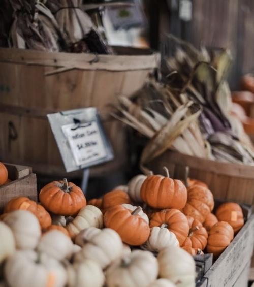 10 activités pour profiter de l'automne à Paris