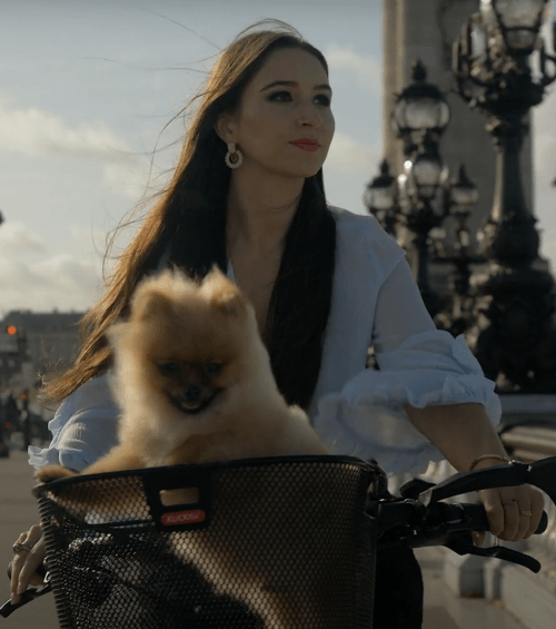 Comment visiter Paris avec son chien?