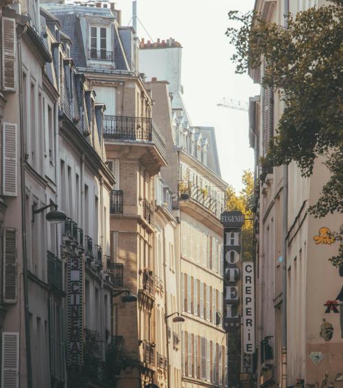 Le Top 5 des Hôtels acceptant des chiens à Paris !