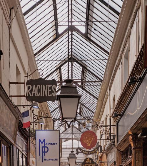 Les plus beaux passages couverts de Paris 9