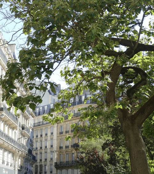 Around Maison Mère