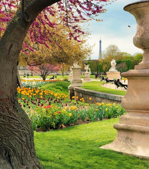 Behzad Ghaffarian - The Tuileries Gardens