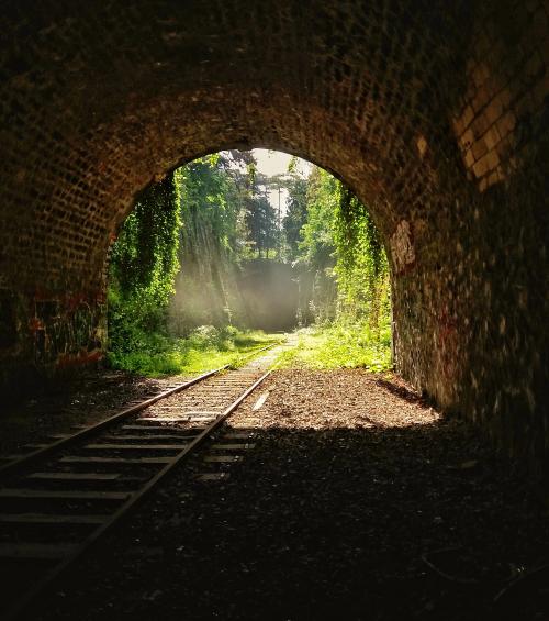 The Petite Ceinture