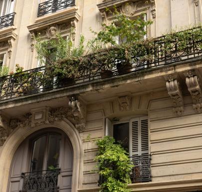 Les meilleures adresses locales aux alentours de chez Maison Mère.