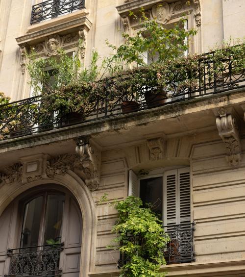 Les meilleures adresses locales aux alentours de chez Maison Mère.