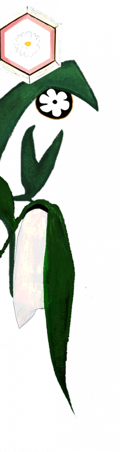 Maison Mère - Background