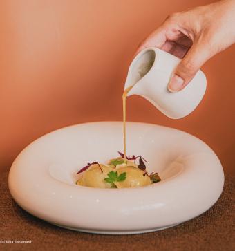 Maison Mère (Beta) - Accueil