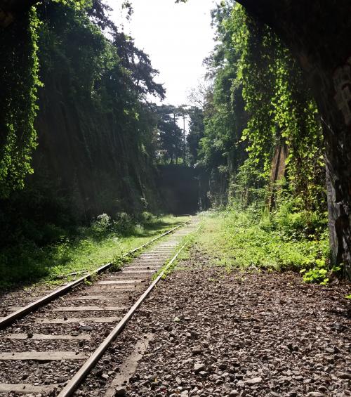 Maison Mère - Petite Ceinture