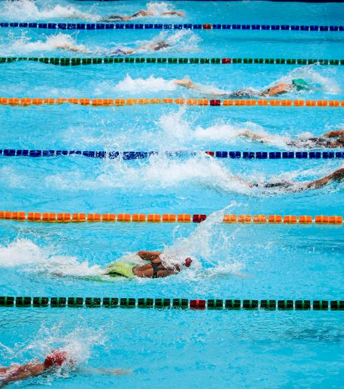 Sport competition Paris 2024 - Natation games